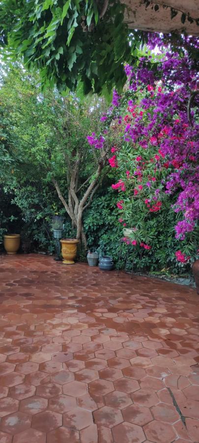 Maison De Vacances A L'Ayguade Classee 3 Etoiles, Climatisee,3Mn A Pied Plage Et Restos ,5Mn Aeroport, 10Mn Gare Hyeres Exterior photo